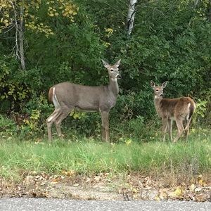 Meet your Posher, Kaley